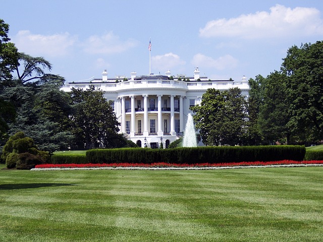 Estados Unidos lanza una ambiciosa iniciativa de inteligencia artificial valorada en 500.000 millones de dólares